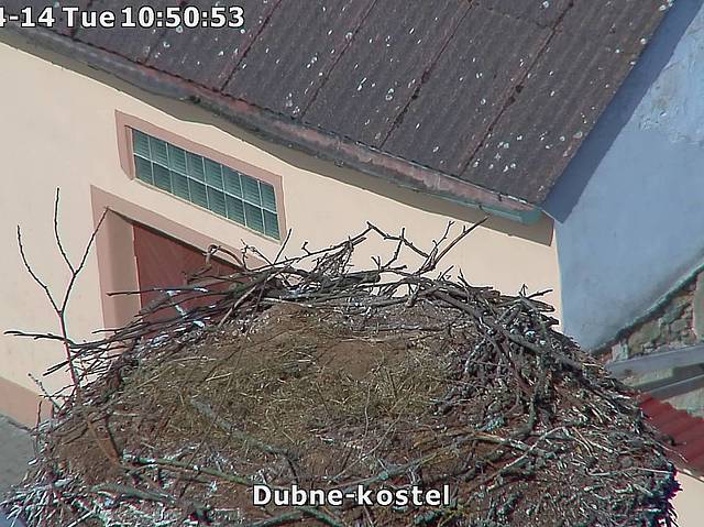 Capi_Dubne_20150414_105051.jpg (1438 x 1078)