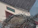 Capi_Dubne_20150416_123046.jpg