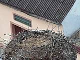 Capi_Dubne_20150416_162046.jpg