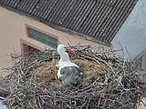 Capi_Dubne_20150425_164046.jpg