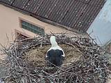 Capi_Dubne_20150501_135022.jpg