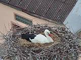 Capi_Dubne_20150501_150023.jpg