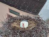 Capi_Dubne_20150501_193022.jpg