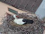 Capi_Dubne_20150503_122022.jpg