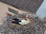 Capi_Dubne_20150503_134022.jpg