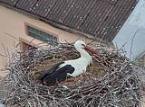 Capi_Dubne_20150507_133022.jpg