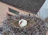 Capi_Dubne_20150514_201022.jpg