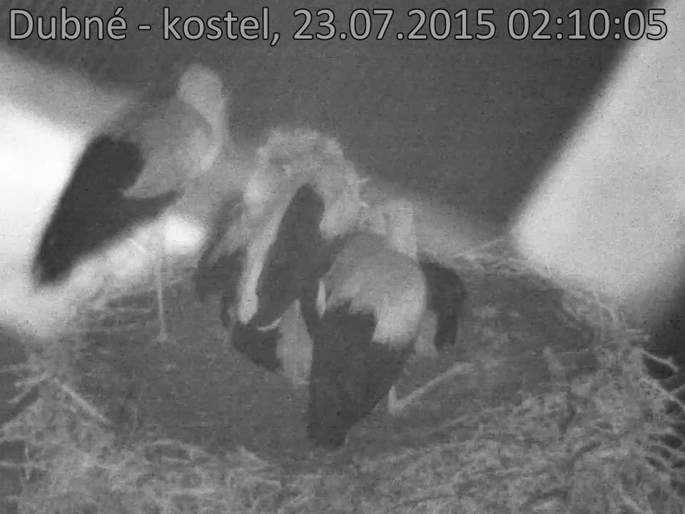 Capi_Dubne_20150723_021005.jpg (960 x 720)