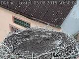 Capi_Dubne_20150805_105003.jpg