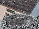 Capi_Dubne_20150805_110003.jpg