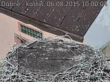 Capi_Dubne_20150806_100004.jpg