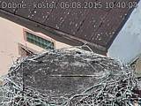 Capi_Dubne_20150806_104004.jpg