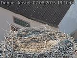 Capi_Dubne_20150807_191004.jpg