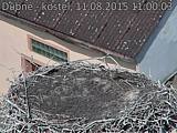 Capi_Dubne_20150811_110003.jpg