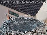 Capi_Dubne_20150813_070004.jpg