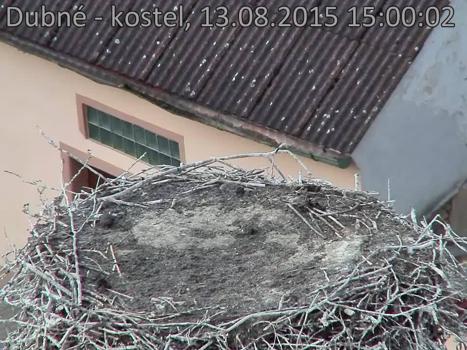 Capi_Dubne_20150813_150002.jpg (960 x 720)