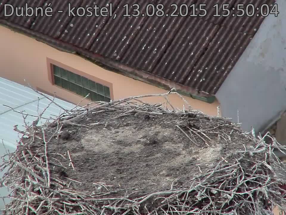 Capi_Dubne_20150813_155004.jpg (960 x 720)