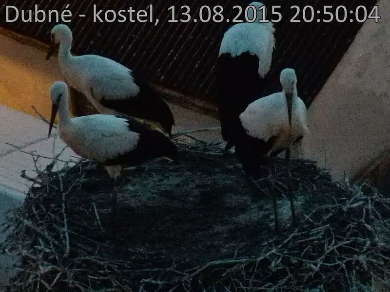 Capi_Dubne_20150813_205004.jpg (960 x 720)