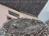 Capi_Dubne_20150821_063003.jpg