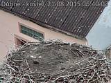 Capi_Dubne_20150821_064003.jpg