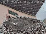 Capi_Dubne_20150821_075003.jpg