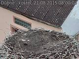 Capi_Dubne_20150821_080003.jpg