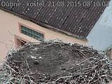 Capi_Dubne_20150821_081003.jpg