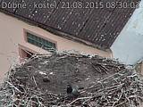 Capi_Dubne_20150821_083003.jpg