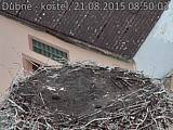 Capi_Dubne_20150821_085003.jpg