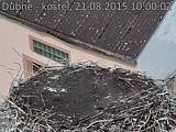 Capi_Dubne_20150821_100002.jpg