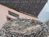 Capi_Dubne_20150821_201003.jpg