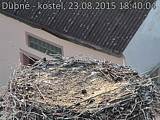 Capi_Dubne_20150823_184004.jpg