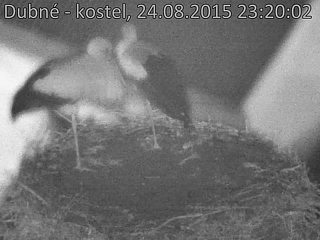 Capi_Dubne_20150824_232003.jpg (960 x 720)