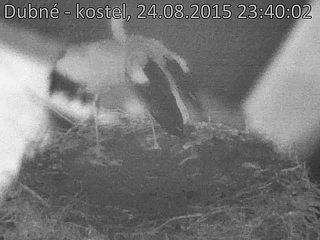 Capi_Dubne_20150824_234003.jpg (960 x 720)