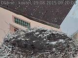 Capi_Dubne_20150829_092004.jpg