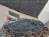 Capi_Dubne_20150912_064003.jpg