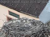 Capi_Dubne_20151003_105004.jpg