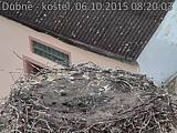 Capi_Dubne_20151006_082003.jpg