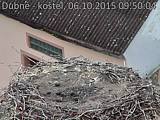 Capi_Dubne_20151006_095004.jpg