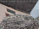 Capi_Dubne_20151006_103004.jpg