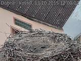 Capi_Dubne_20151013_120002.jpg