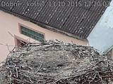 Capi_Dubne_20151013_172003.jpg