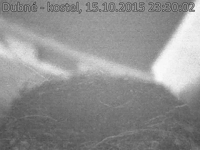 Capi_Dubne_20151015_233003.jpg (960 x 720)
