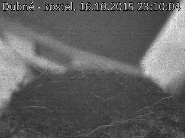 Capi_Dubne_20151016_231004.jpg (960 x 720)