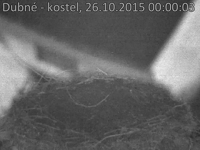 Capi_Dubne_20151026_000003.jpg (960 x 720)