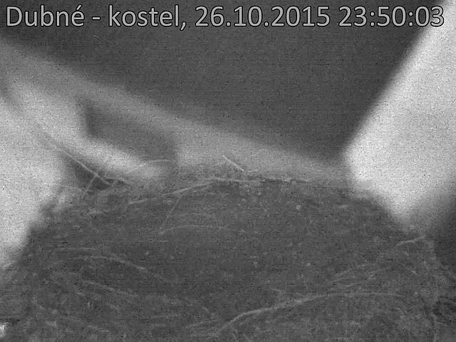 Capi_Dubne_20151026_235003.jpg (960 x 720)
