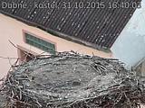 Capi_Dubne_20151031_164003.jpg