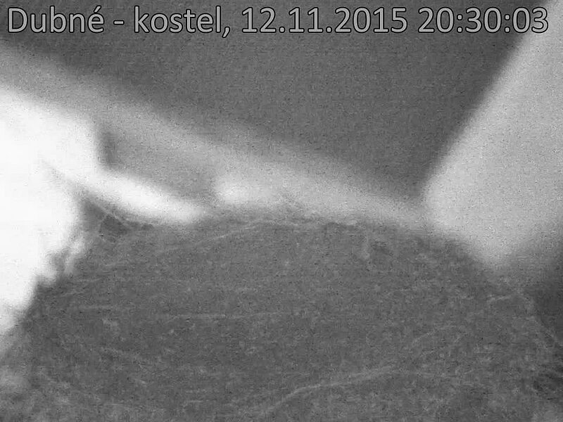 Capi_Dubne_20151112_203003.jpg (960 x 720)