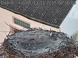 Capi_Dubne_20151113_065003.jpg