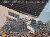 Capi_Dubne_20151114_074003.jpg